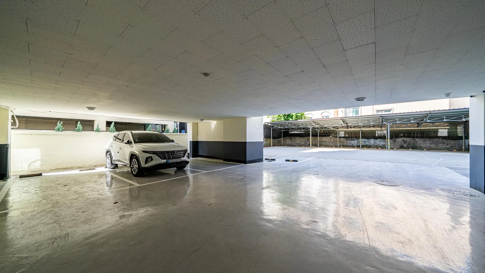 대전 대전 용문 피렌체 호텔 1성급 호텔 스위트룸