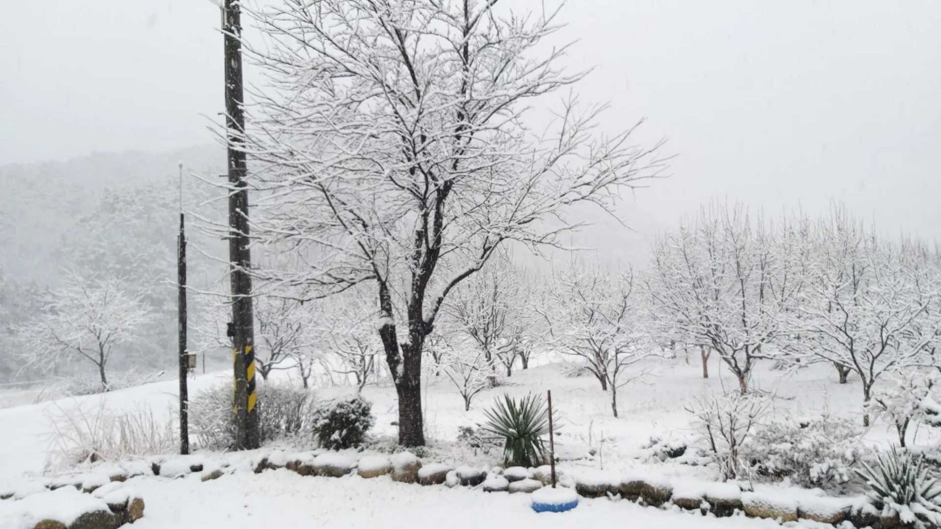 양양 양양 가족펜션 2성급 게스트하우스 레스토랑