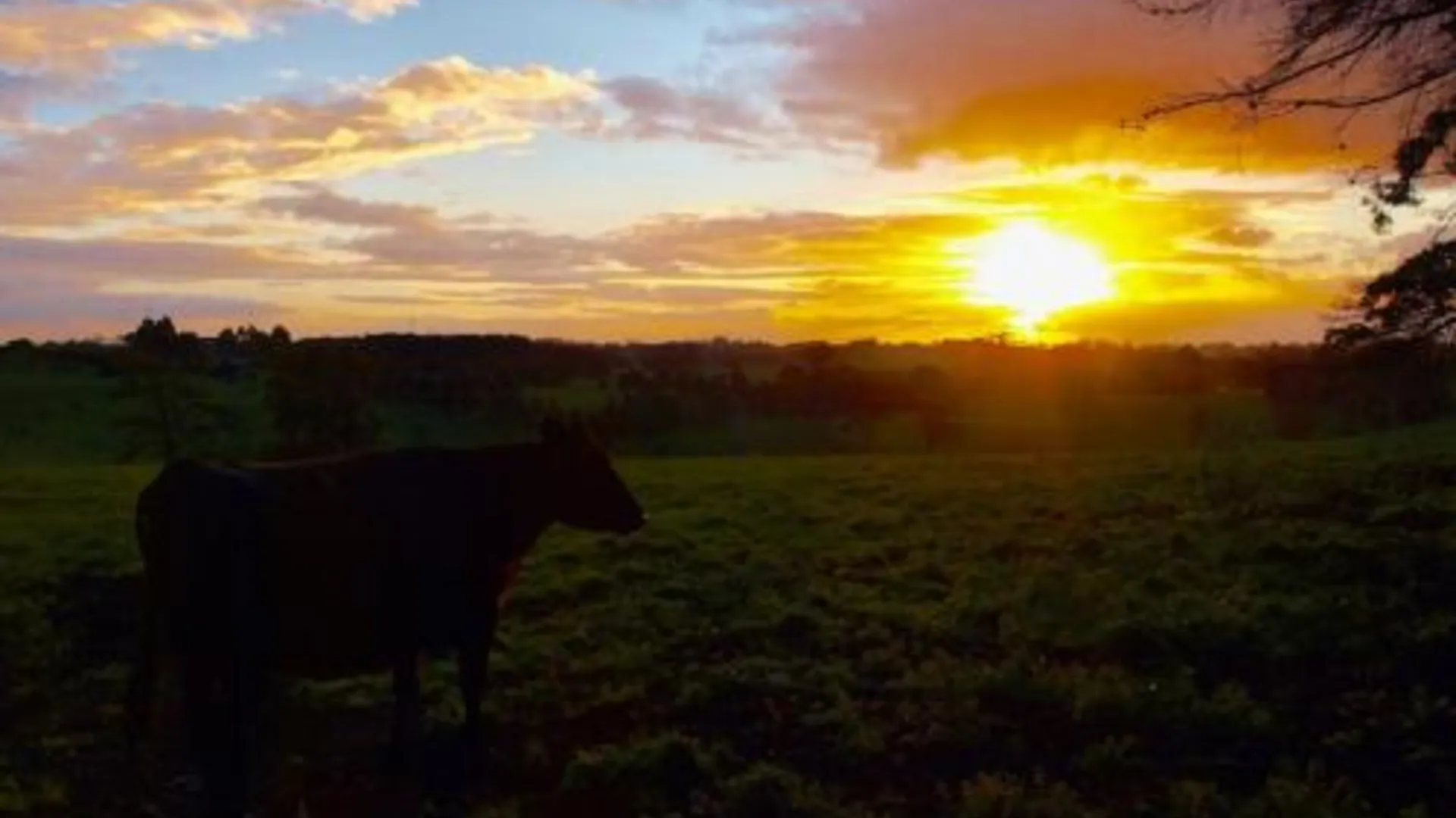 깁스랜드 지역 Manderley Park Farmstay B&B 5성급 호텔 객실