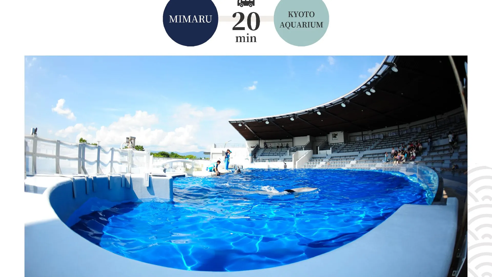 교토 미마루 교토 니조 성 4성급 호텔 수영장