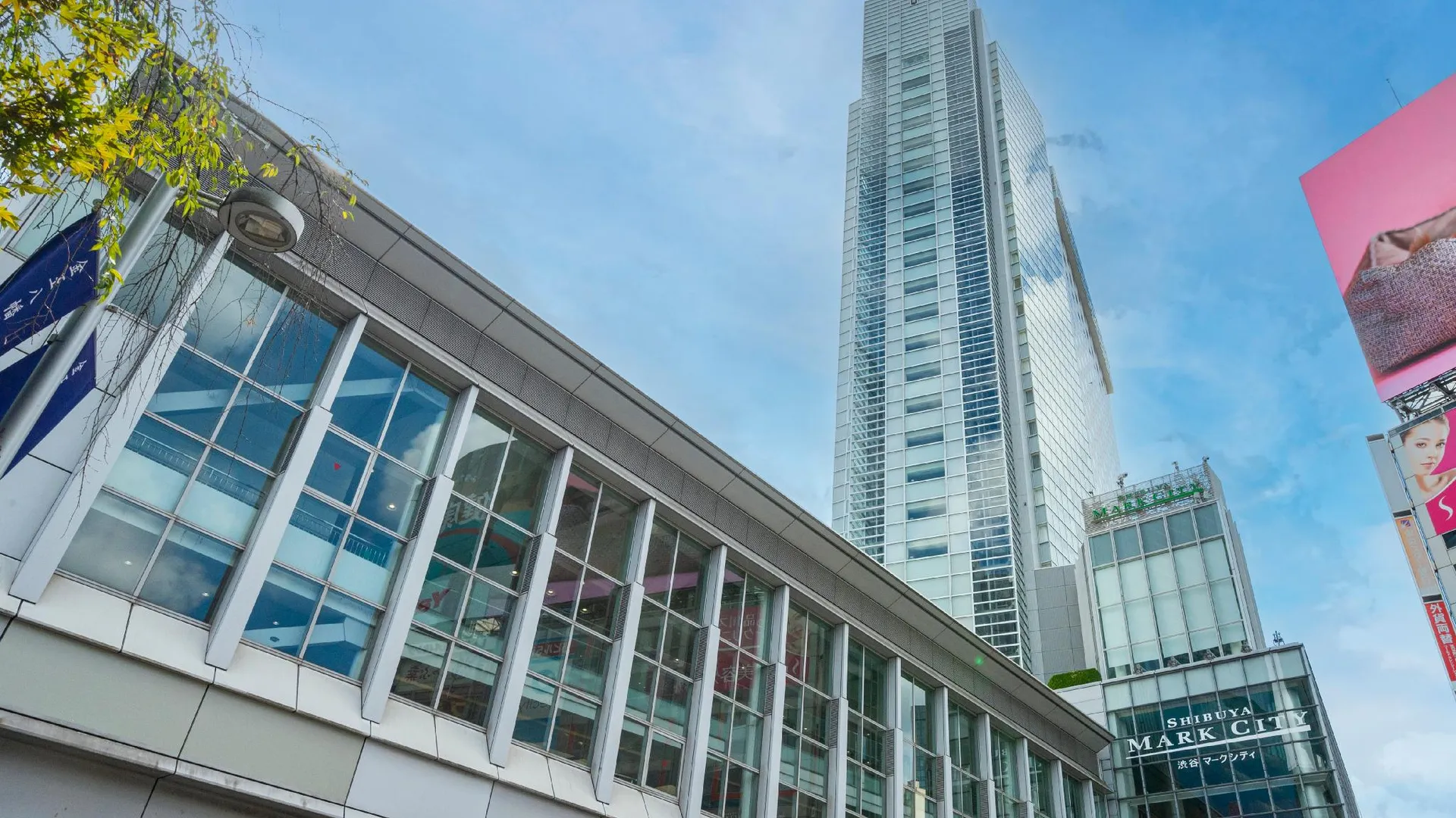 도쿄 / 동경 시부야 엑셀 호텔 도큐 4성급 호텔 객실