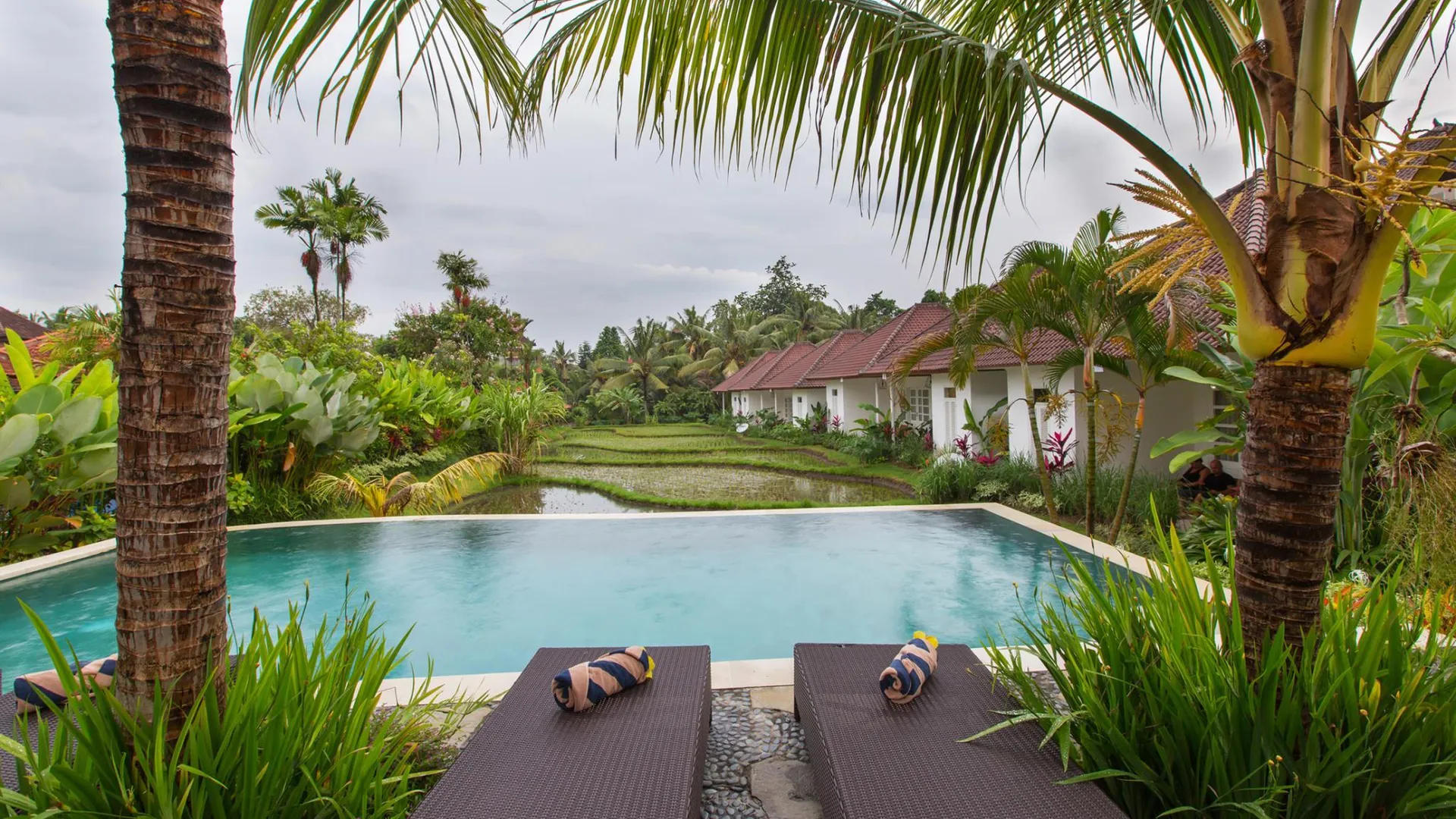 발리 비제 사리 비스마 3성급 호텔 객실