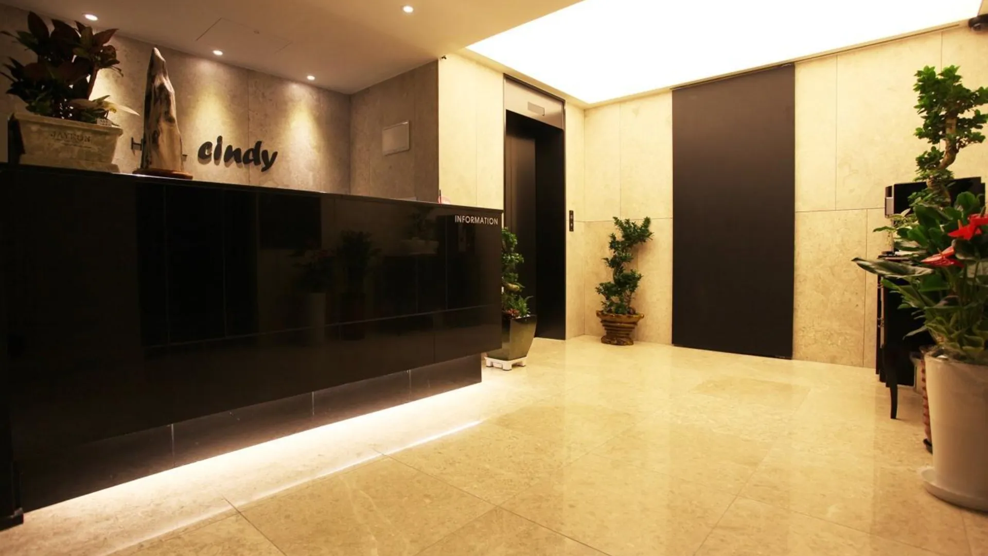 서울 신촌 Cindy(신디) 3성급 호텔 로비
