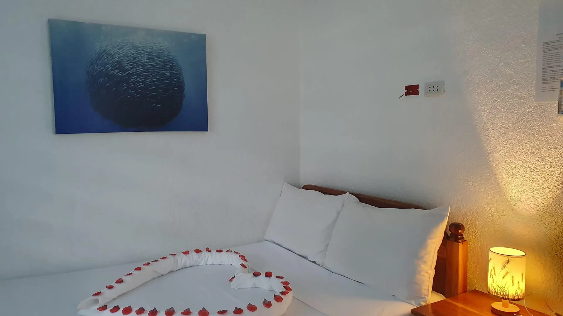 세부 모알보알의 빌라 (120m², 침실 1개, 프라이빗 욕실 1개) 4성급 게스트하우스 스위트룸