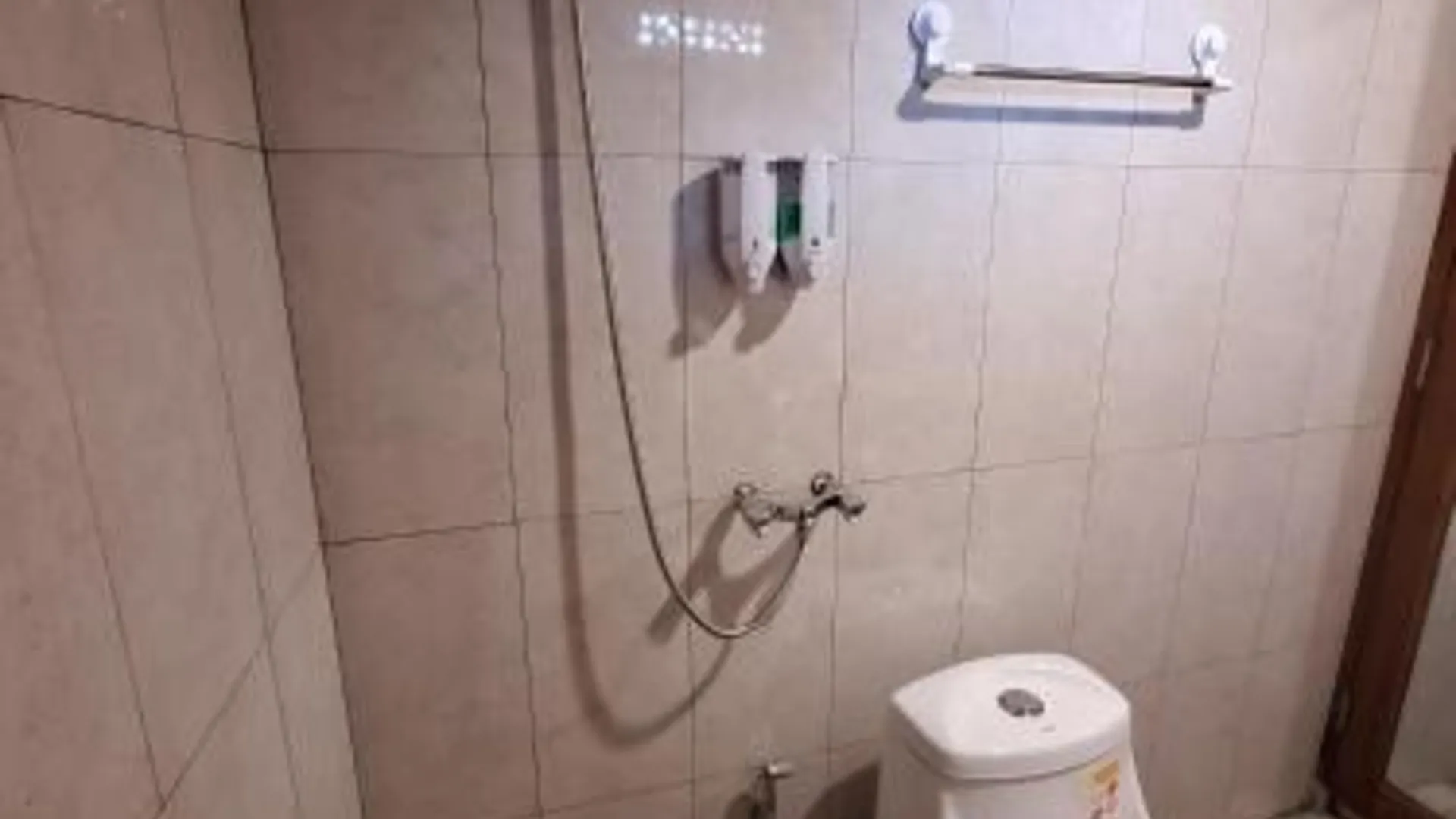 발리 Kubu Telaga Guest House 3성급 싱글룸 수영장