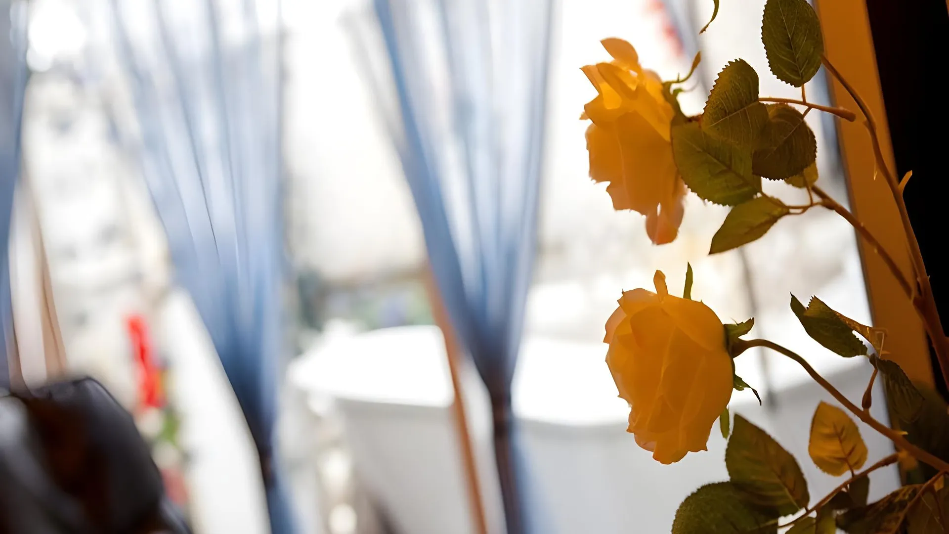 고베 V 호텔 - 성인 전용 2성급 호텔 부대시설