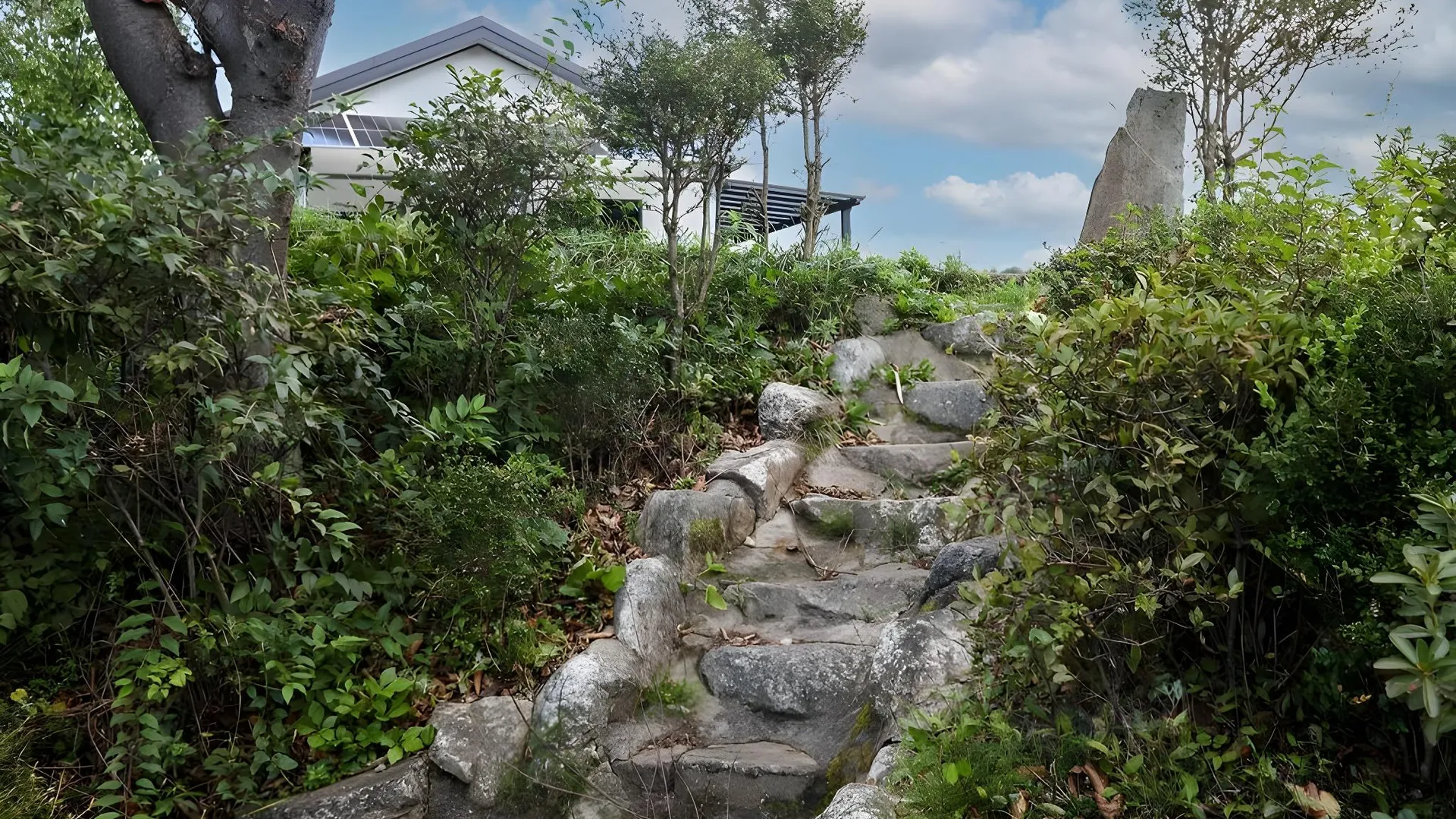 양양 우드힐 펜션 2성급 게스트하우스 외관