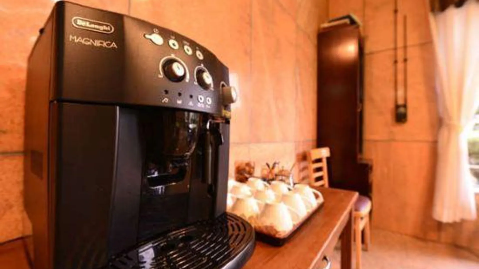 오키나와 본섬 Nago Business Hotel 2성급 호텔 객실