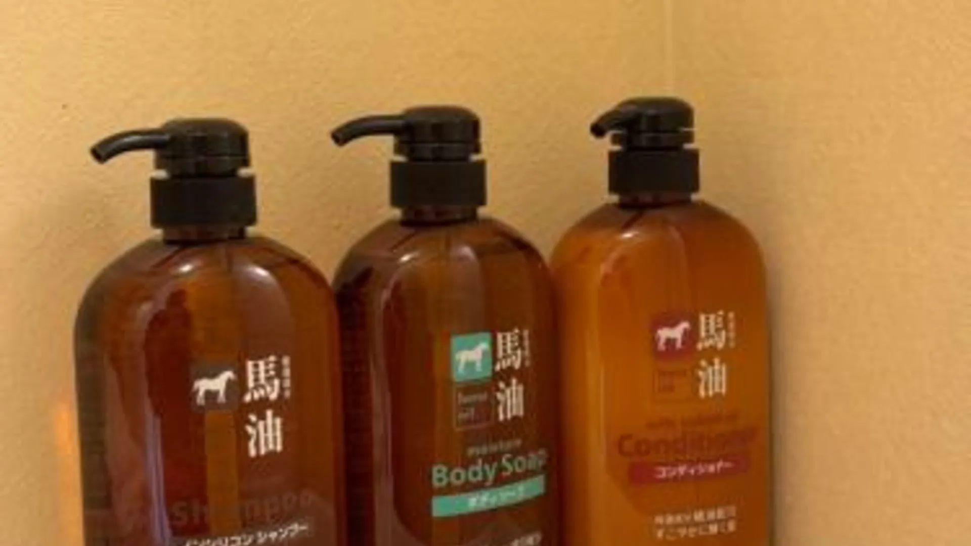 도쿄 / 동경 PAThouse台东Asakusa店 2성급 호텔 부대시설