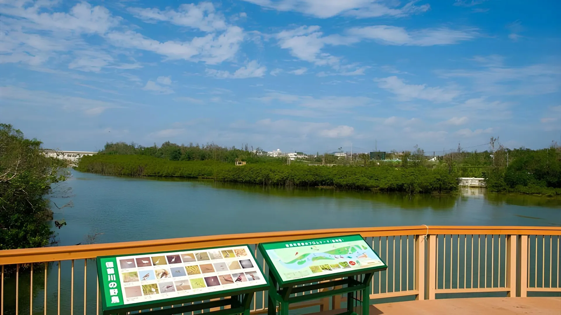 오키나와 본섬 카리유시 콘도미니엄 리조트 킨 야카 씨사이드 4성급 게스트하우스 부대시설