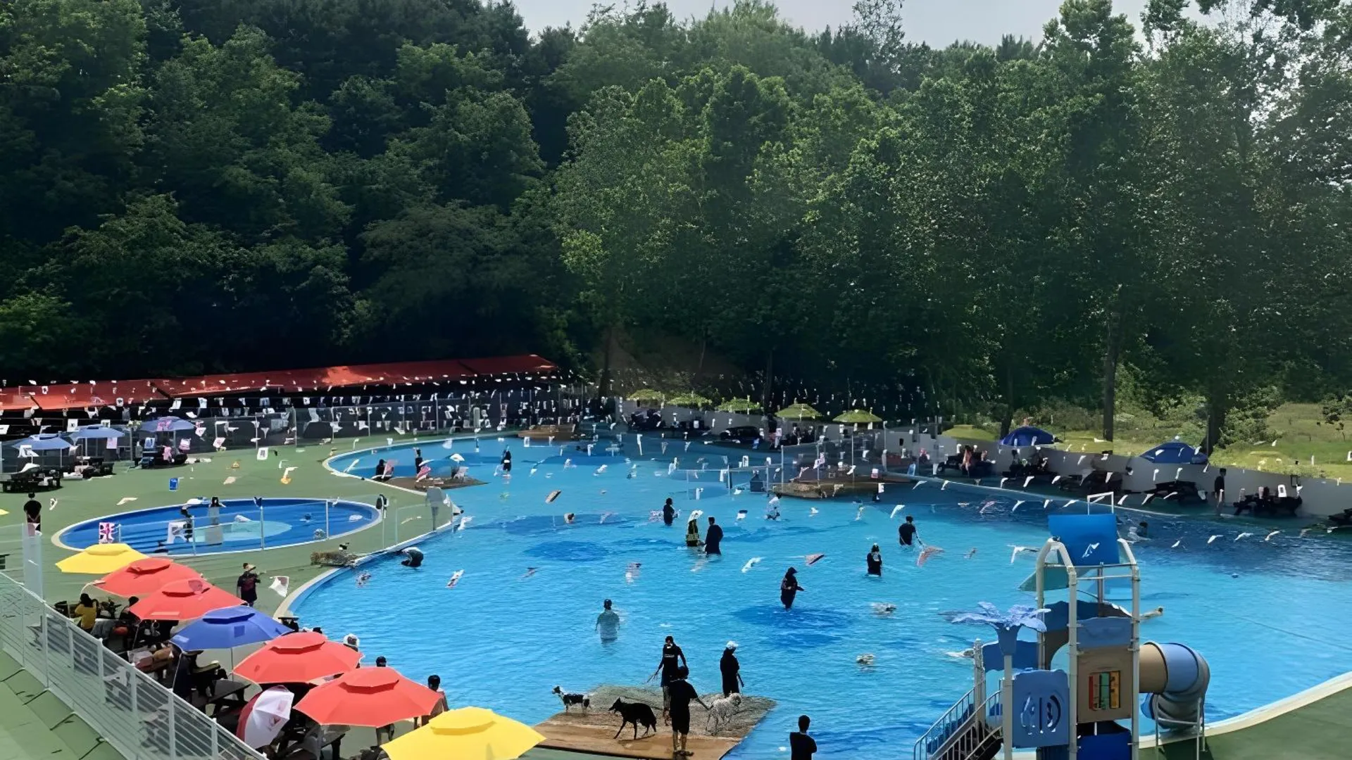 용인 골드 펫 리조트 3성급 게스트하우스 외관