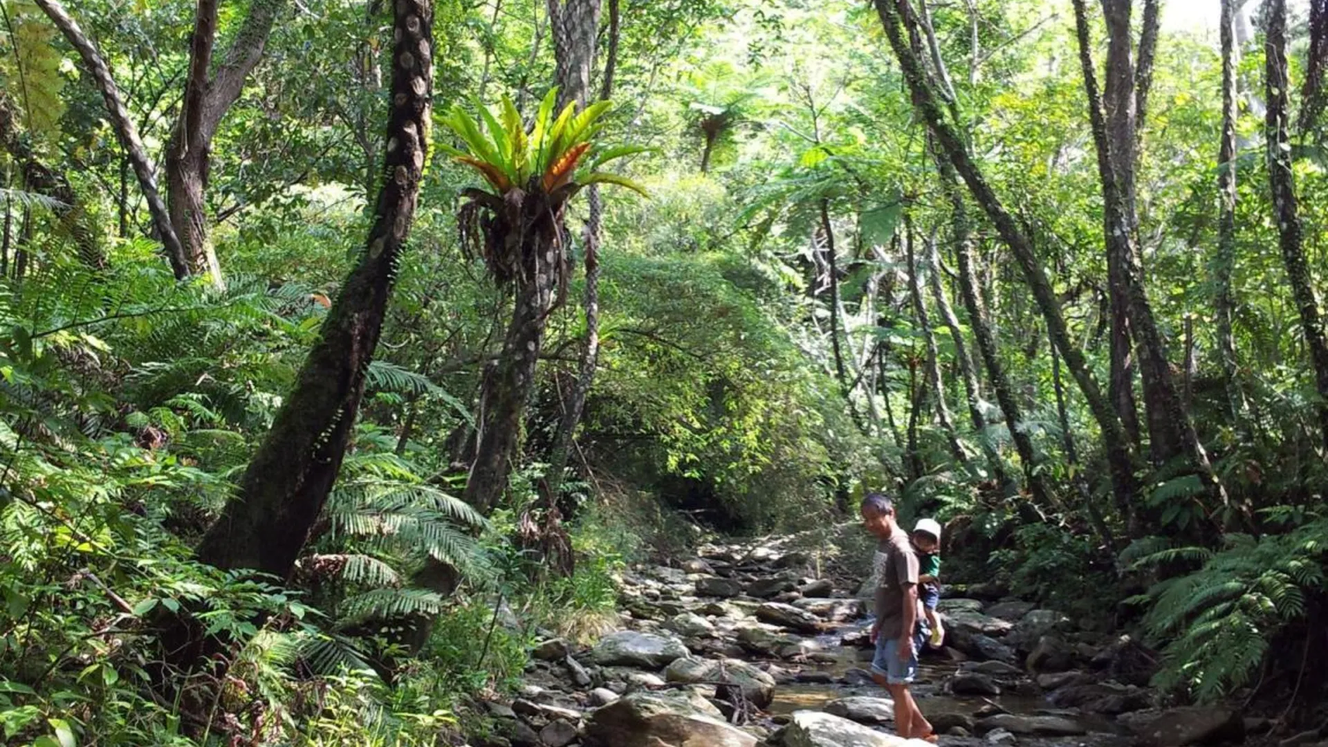 오키나와 본섬 오키나와 호스텔 얀바루 후쿠로 1성급 호텔 전망