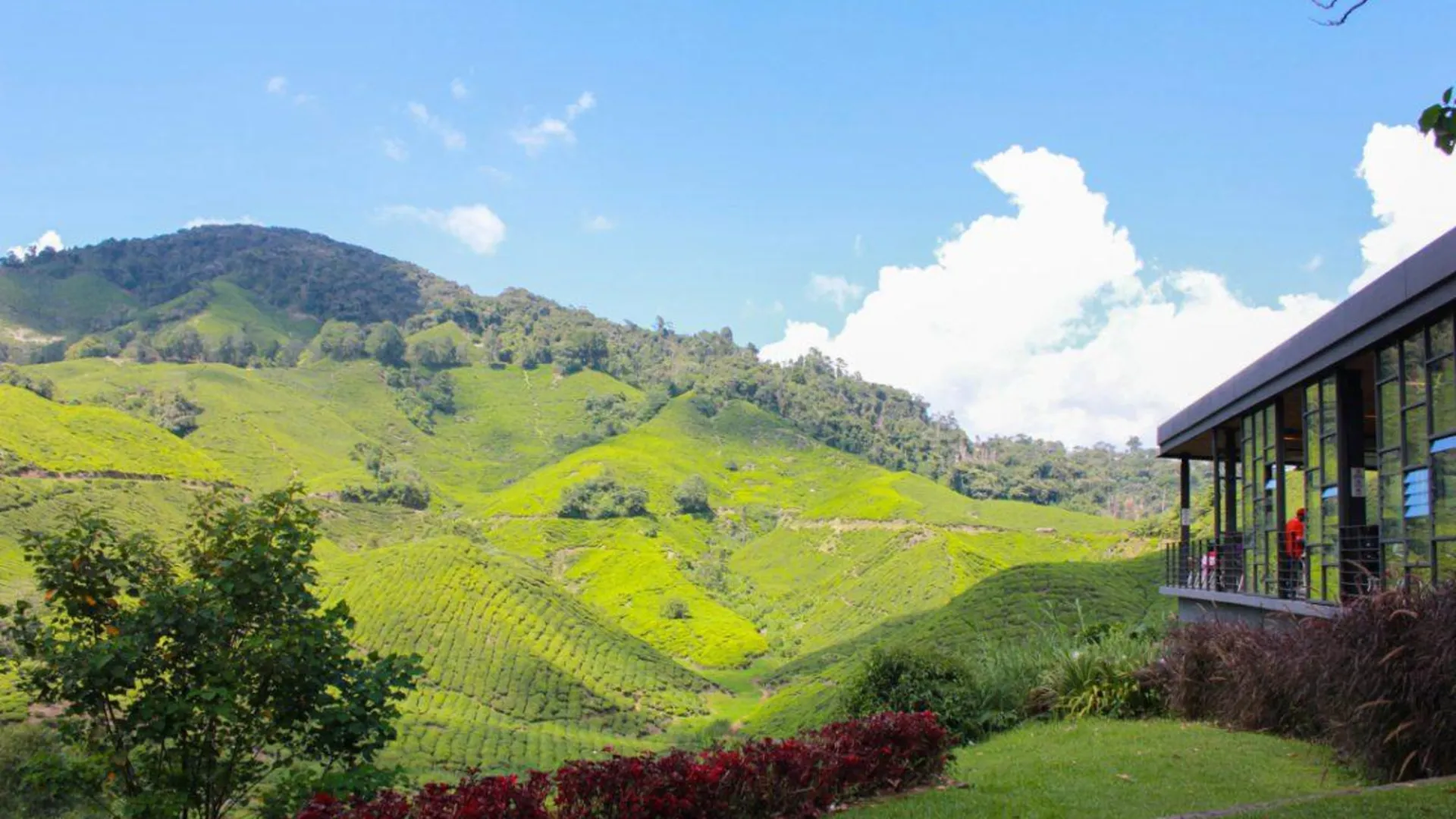 카메론 하일랜즈 타나 라타의 프라이빗 하우스 (823m², 침실 2개, 프라이빗 욕실 2개) 3성급 싱글룸 외관