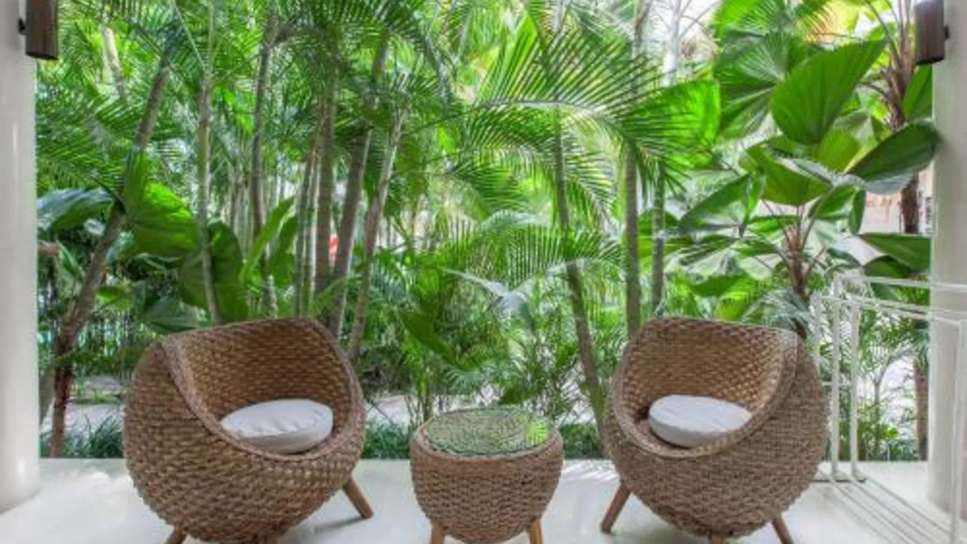 발리 더 그린 룸 짱구 3성급 호텔 수영장