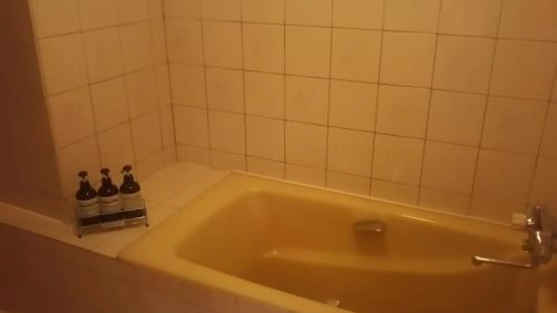 도쿄 / 동경 호텔 스팅 1성급 호텔 레스토랑