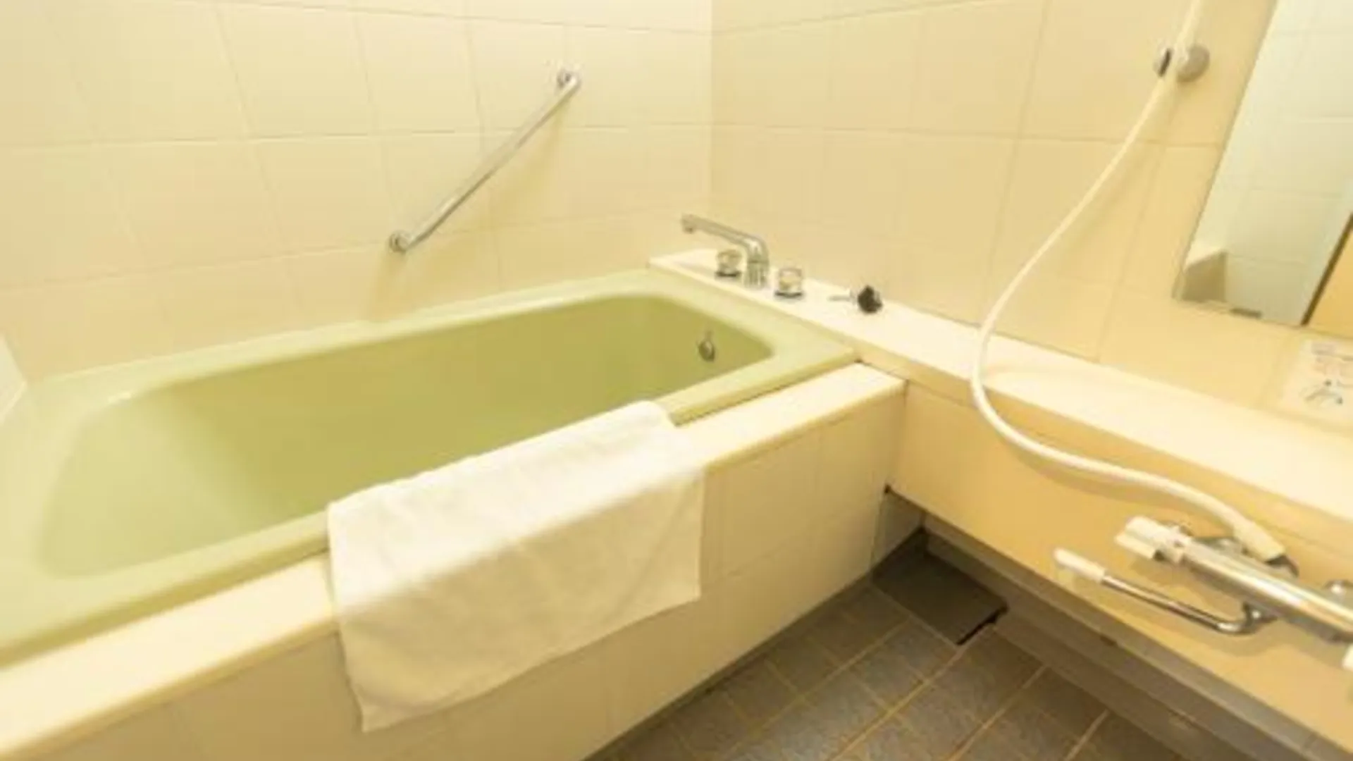 오사카 미로 호텔 도톤보리 2성급 호텔 수영장