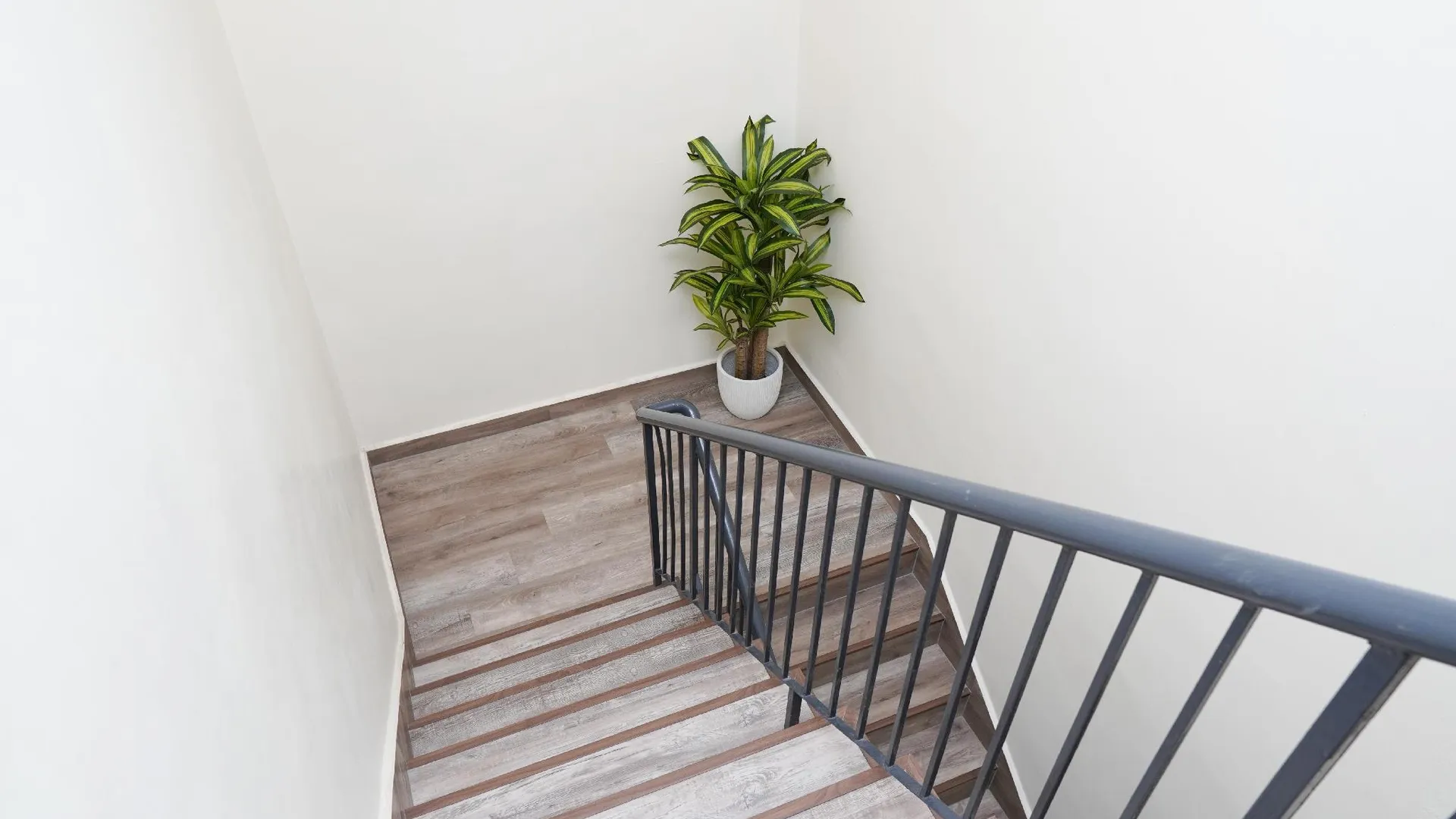 조호바루 / 조호르바루 안타 호텔 2성급 호텔 부대시설