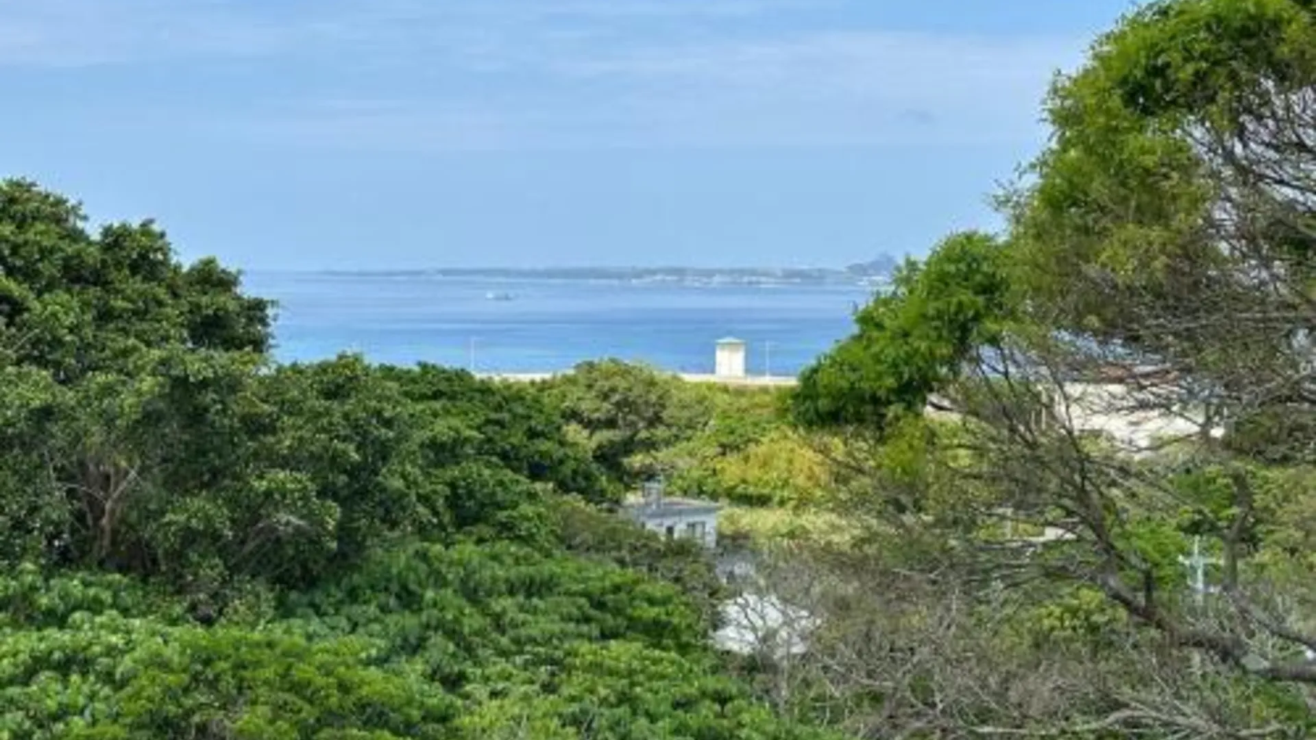 오키나와 본섬 Arts house 3성급 싱글룸 수영장