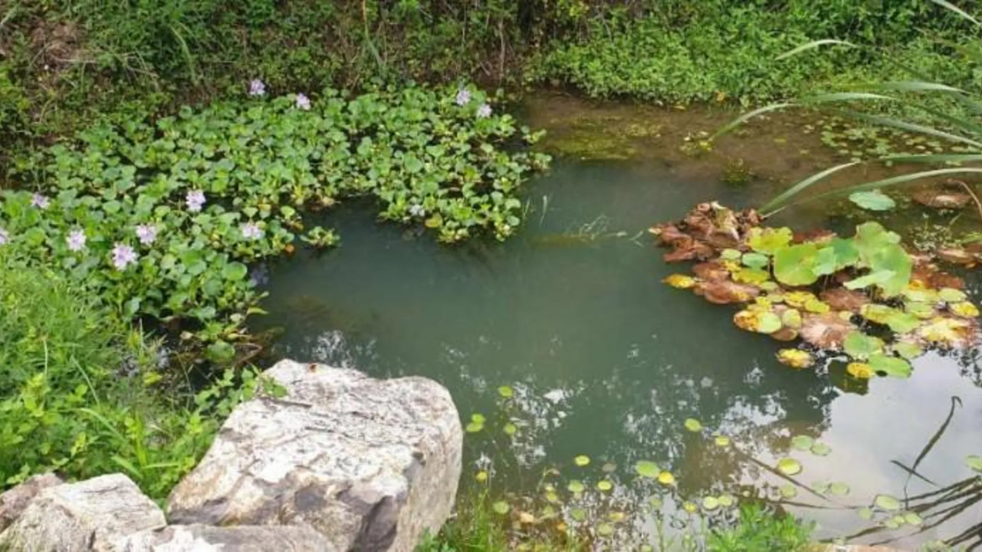 통영 통영 타샤의정원펜션 2성급 게스트하우스 외관