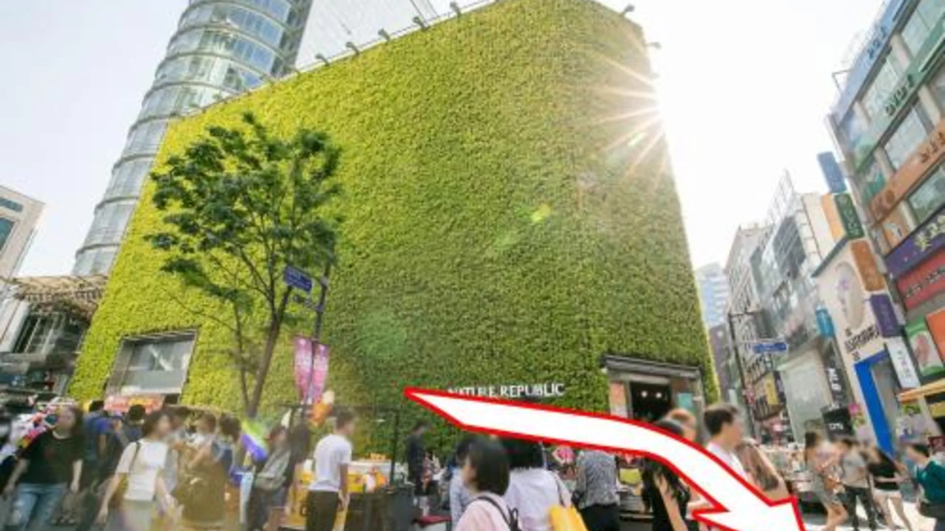 서울 필스테이 명동스테이션 2성급 호텔 수영장