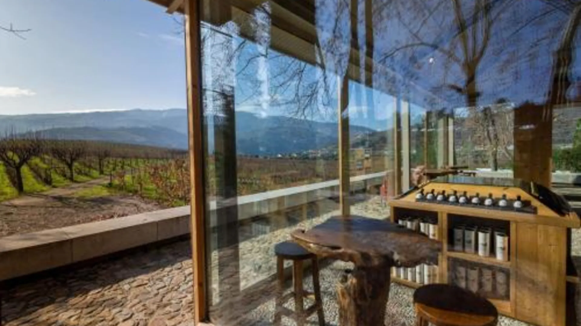 라메고 The Wine House Hotel - Quinta da Pacheca 5성급 게스트하우스 전망