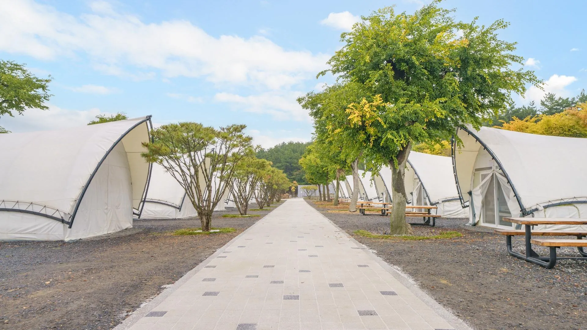 보령 보령 오즈캠핑 글램핑 펜션 2성급 게스트하우스 객실