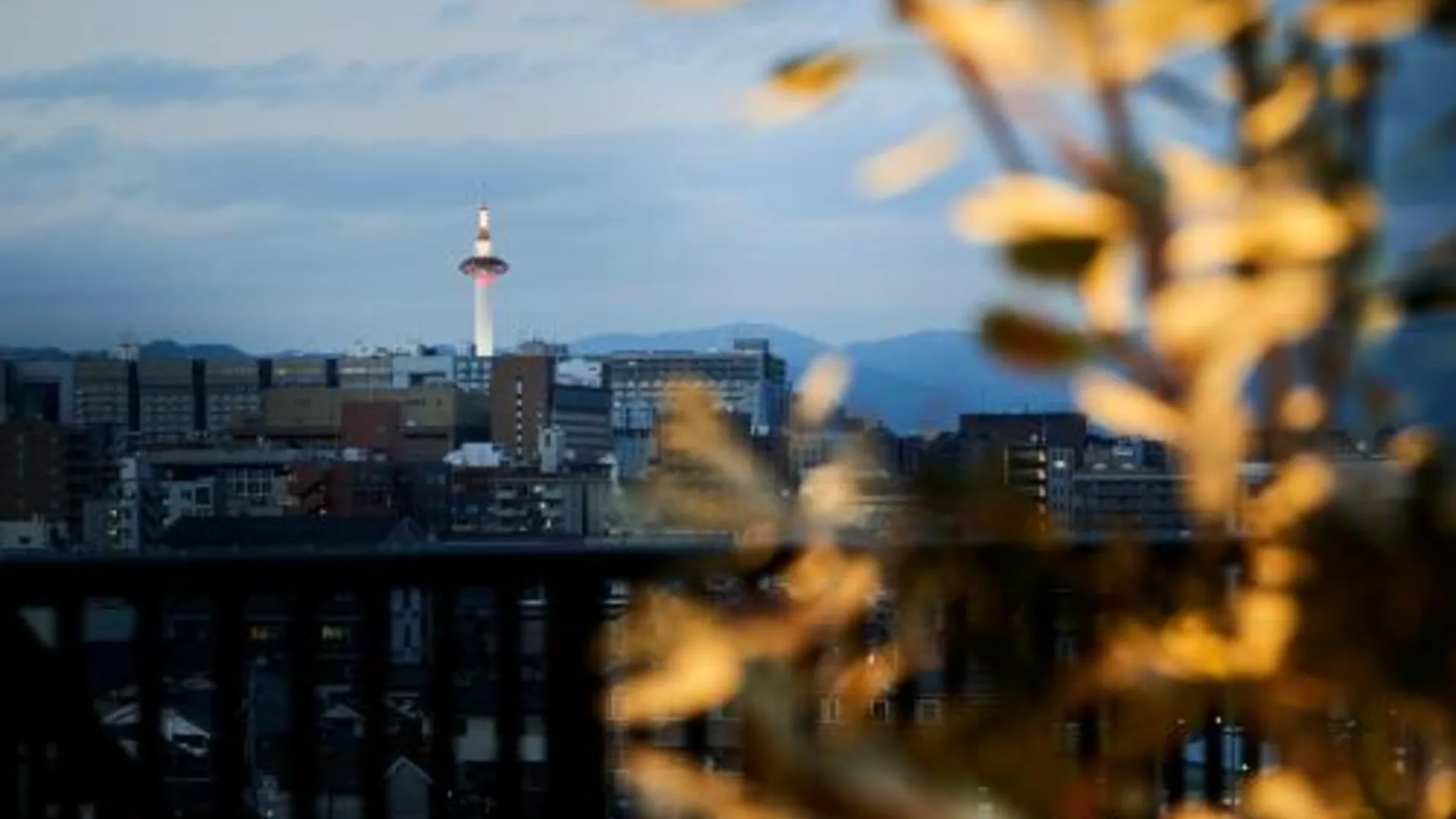 교토 더 레인 호텔 교토 3성급 호텔 레스토랑