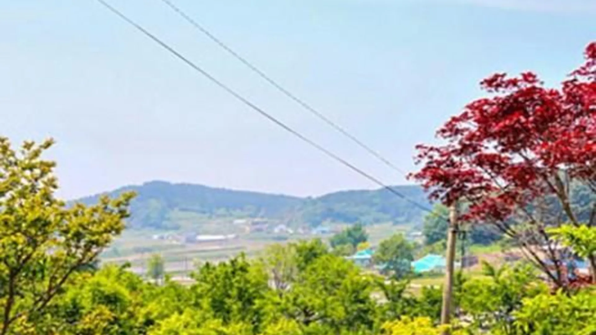 보령 보령(무창포) 오후의스케치북펜션 2성급 게스트하우스 전망