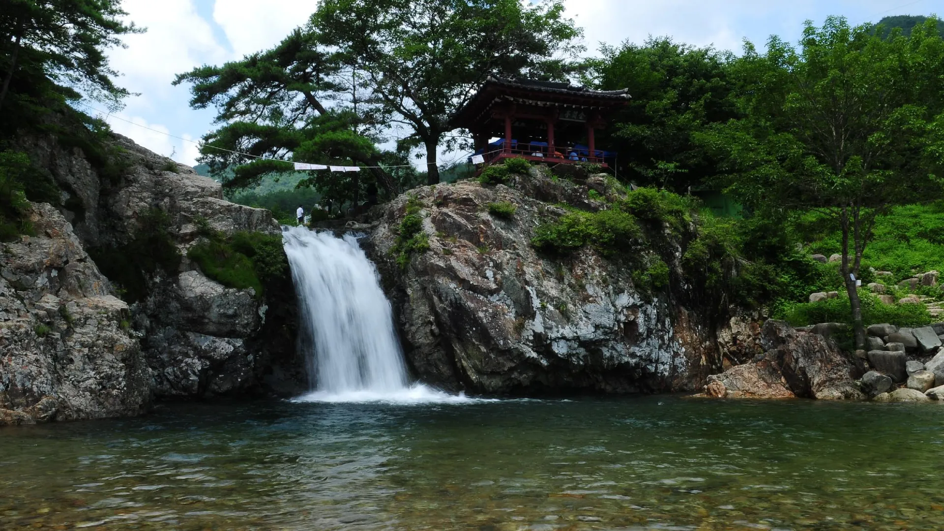 상주 상주 솔숲펜션 1성급 게스트하우스 전망