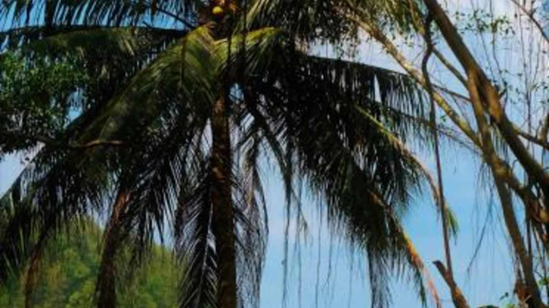 푸켓 빌라 타 마프라오 4성급 호텔 객실