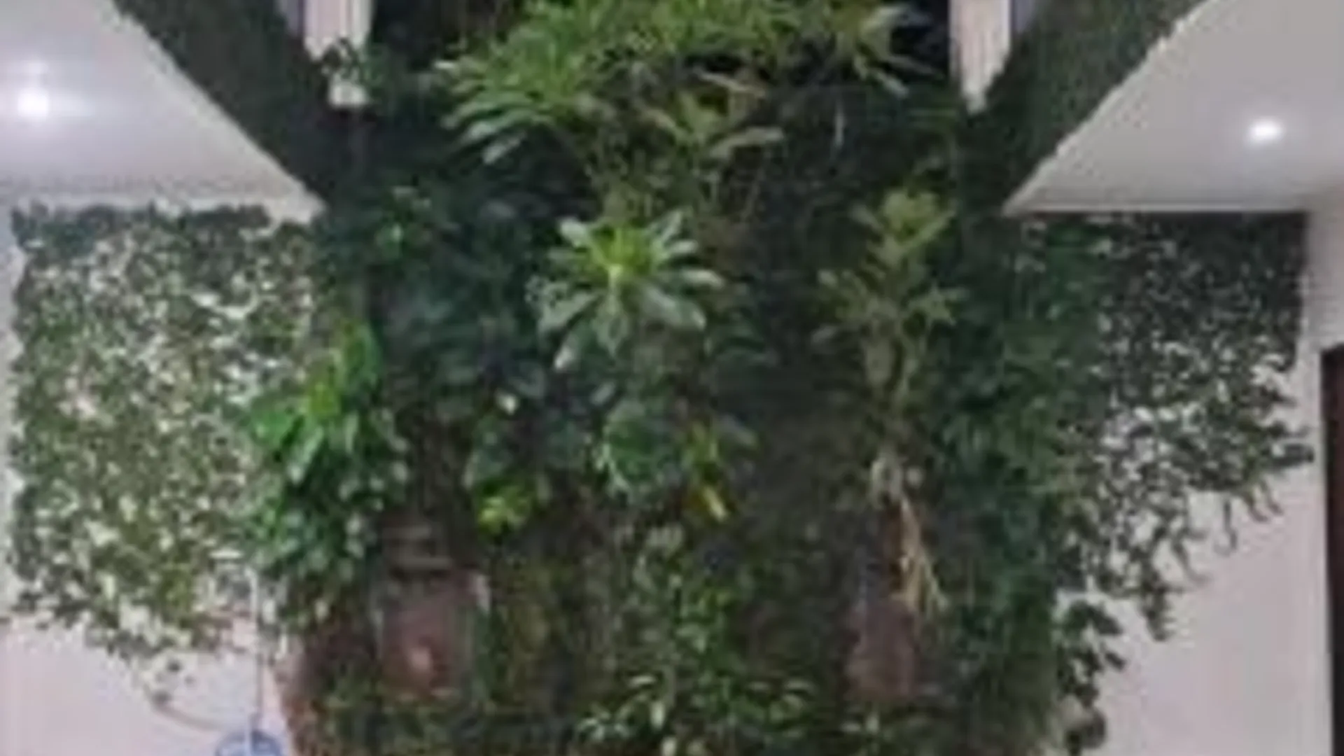 발리 Umah Bagus 3성급 호텔 로비