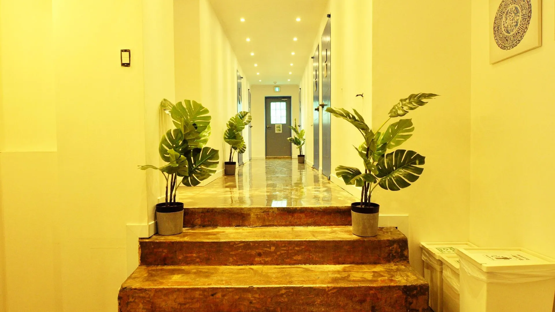 서울 OYO 루프탑 호스텔 1성급 호텔 수영장