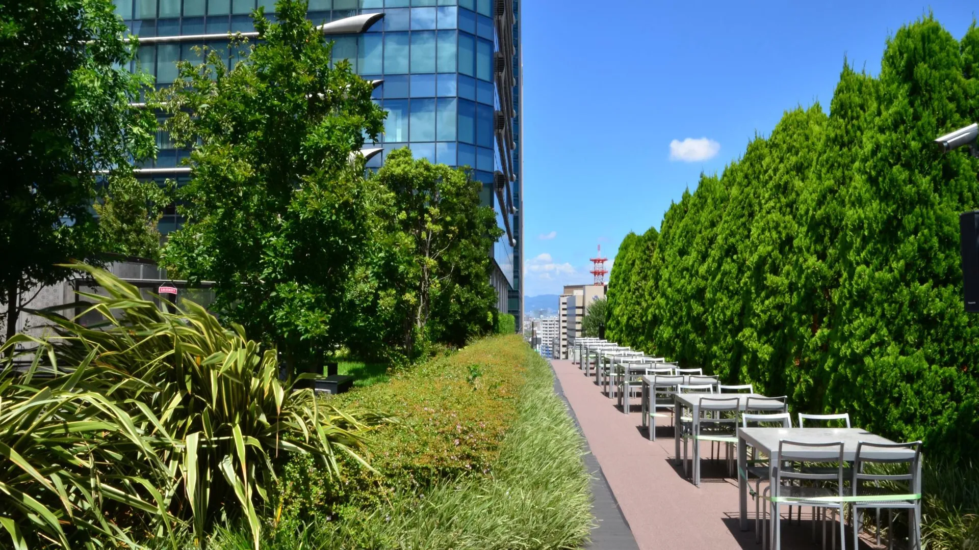 오사카 호텔 윙 인터내셔널 셀렉트 오사카 우메다 3성급 호텔 수영장