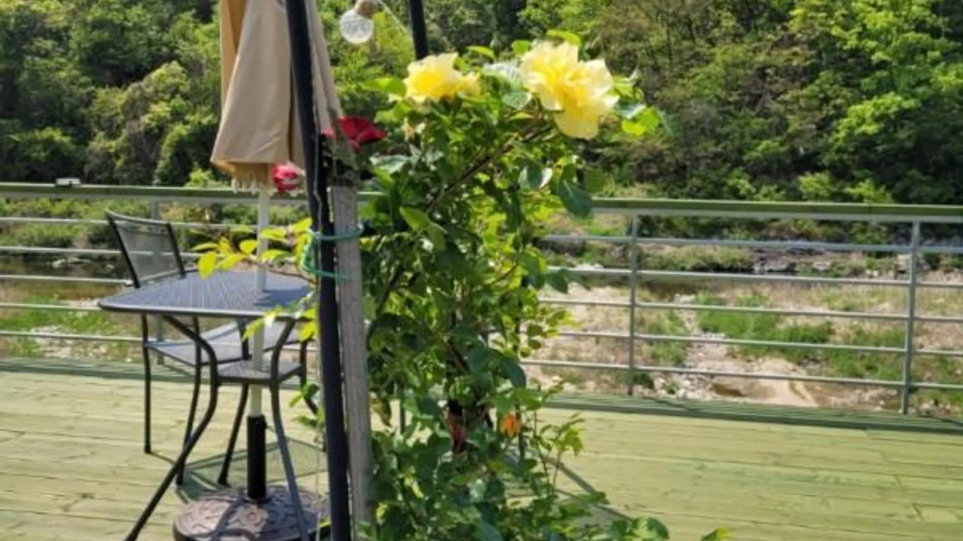 가평 가평 초록정원계곡독채펜션 2성급 게스트하우스 객실