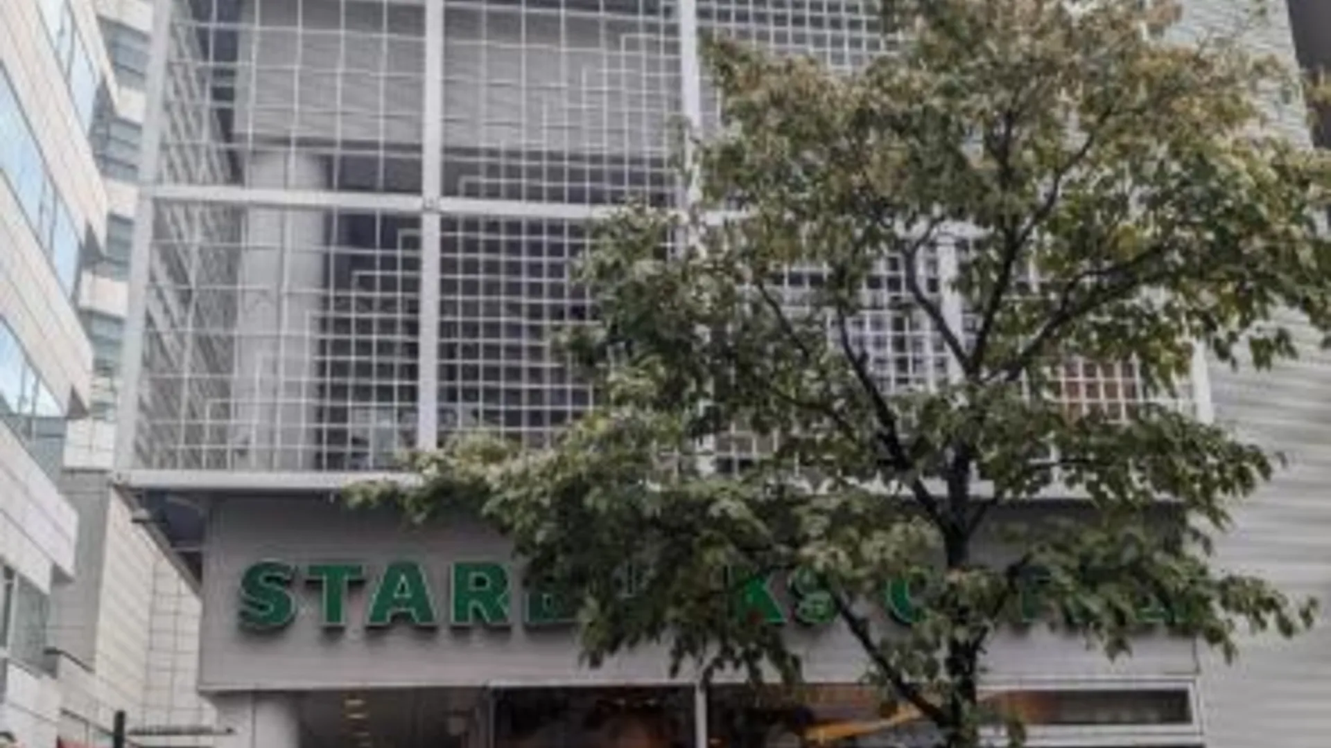 도쿄 / 동경 Shibuyastay 3성급 싱글룸 외관