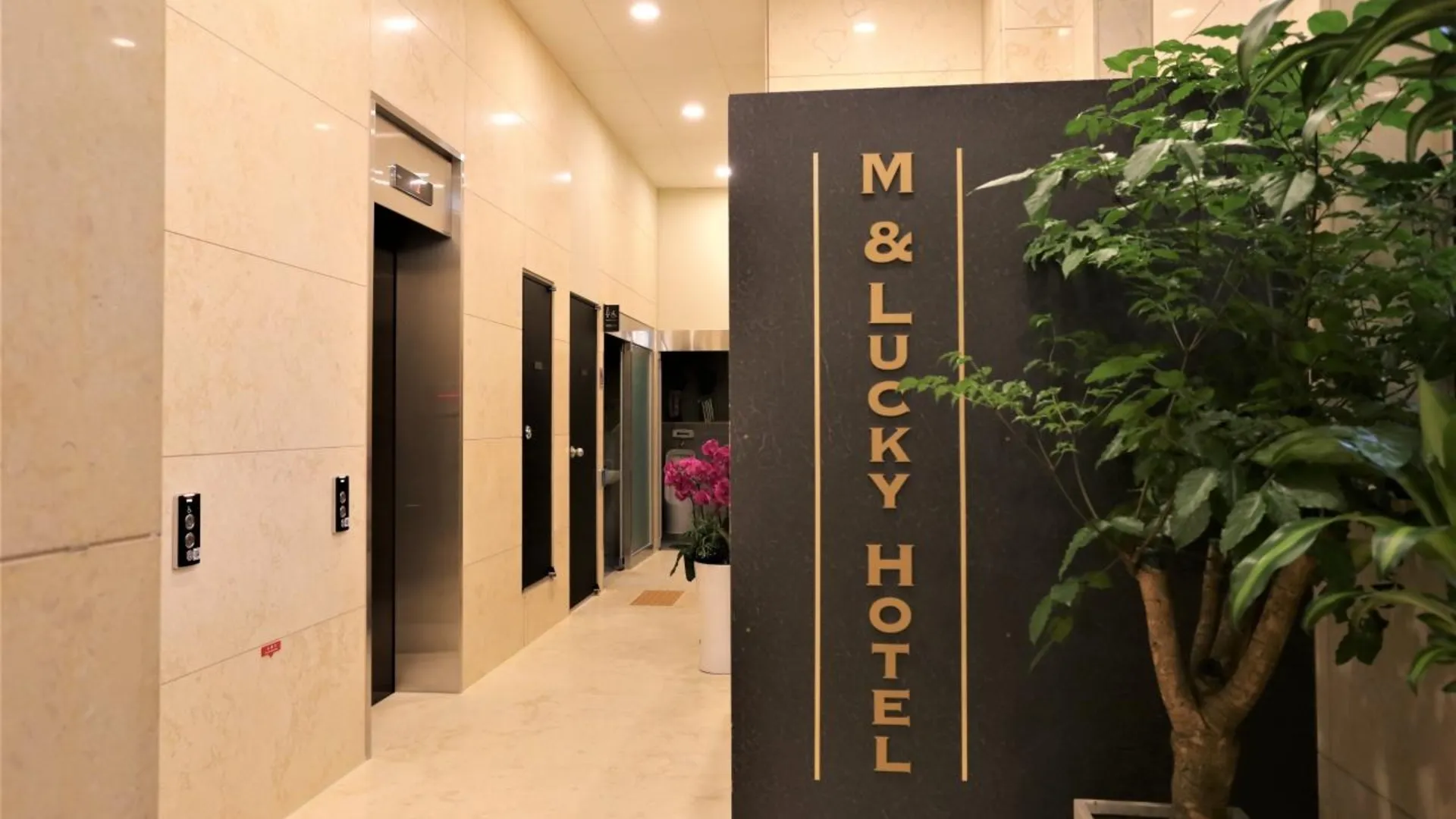 서울 종로 엠 앤 럭키 호텔 3성급 호텔 레스토랑