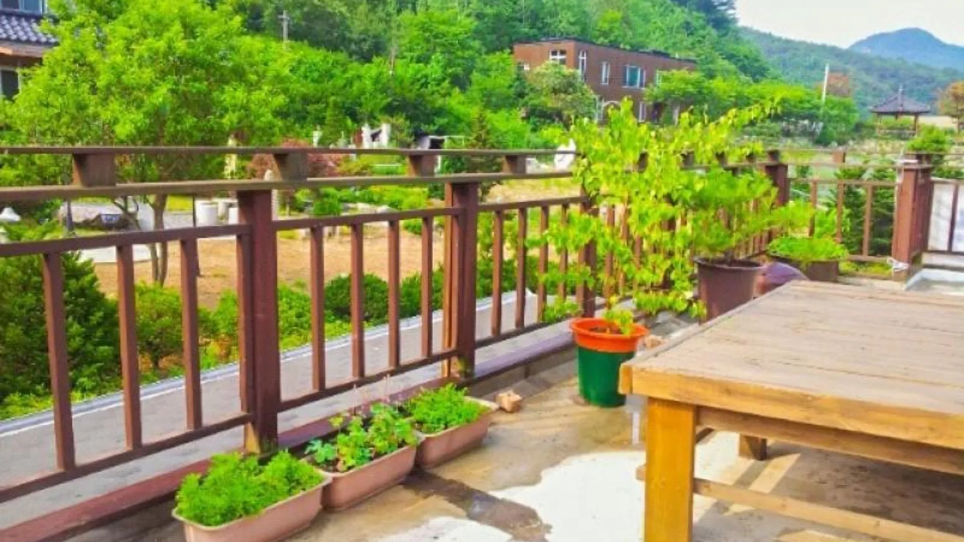 단양 단양 풀내음펜션 3성급 게스트하우스 레스토랑