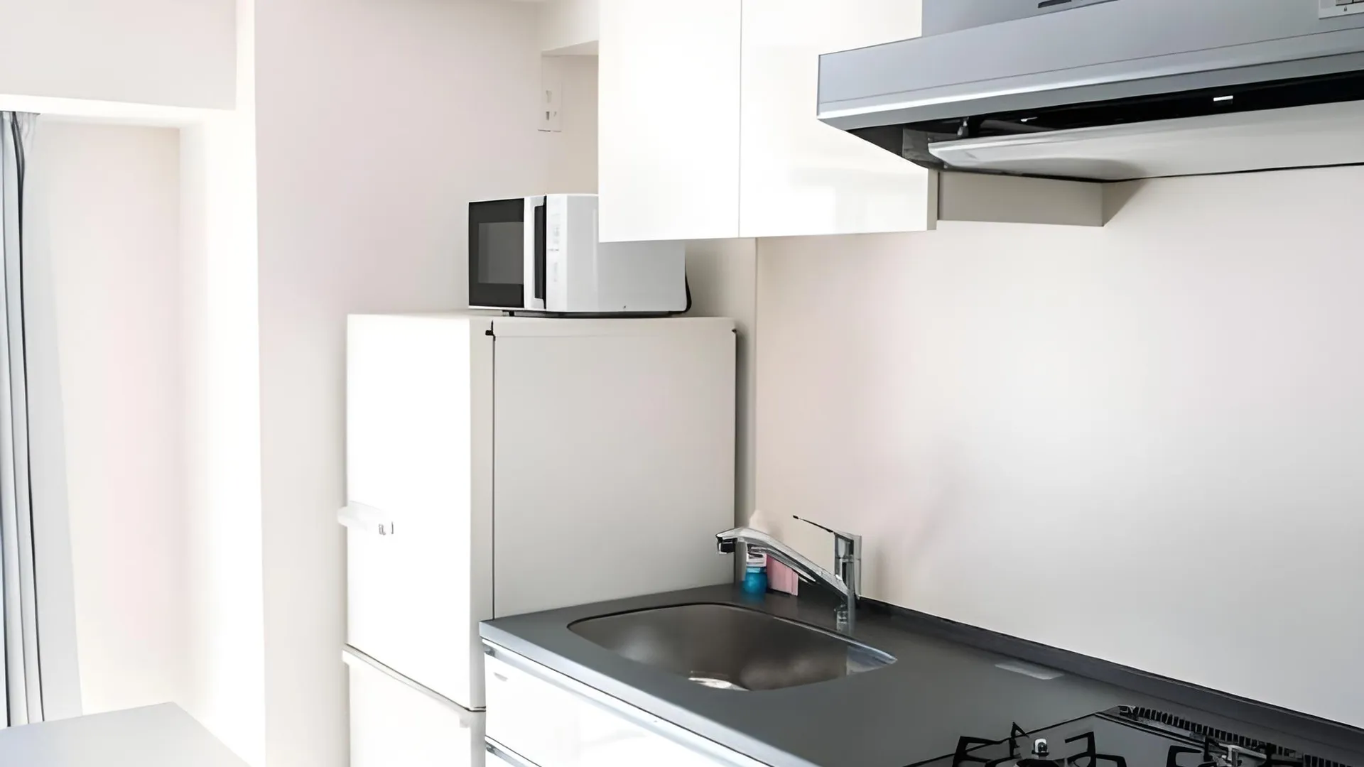 도쿄 / 동경 대시 리빙 니혼바시 3성급 호텔 수영장