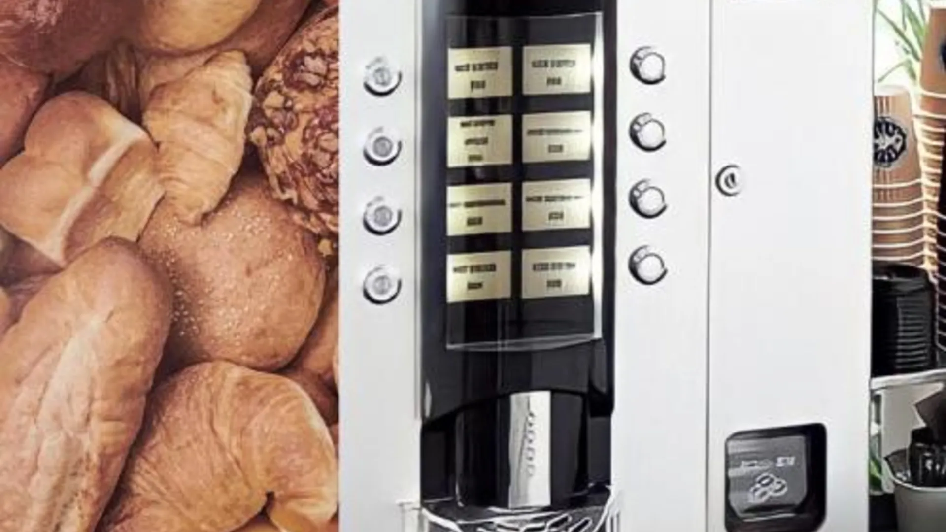 오사카 비즈니스 호텔 어반티 니시쿠조 3성급 호텔 수영장