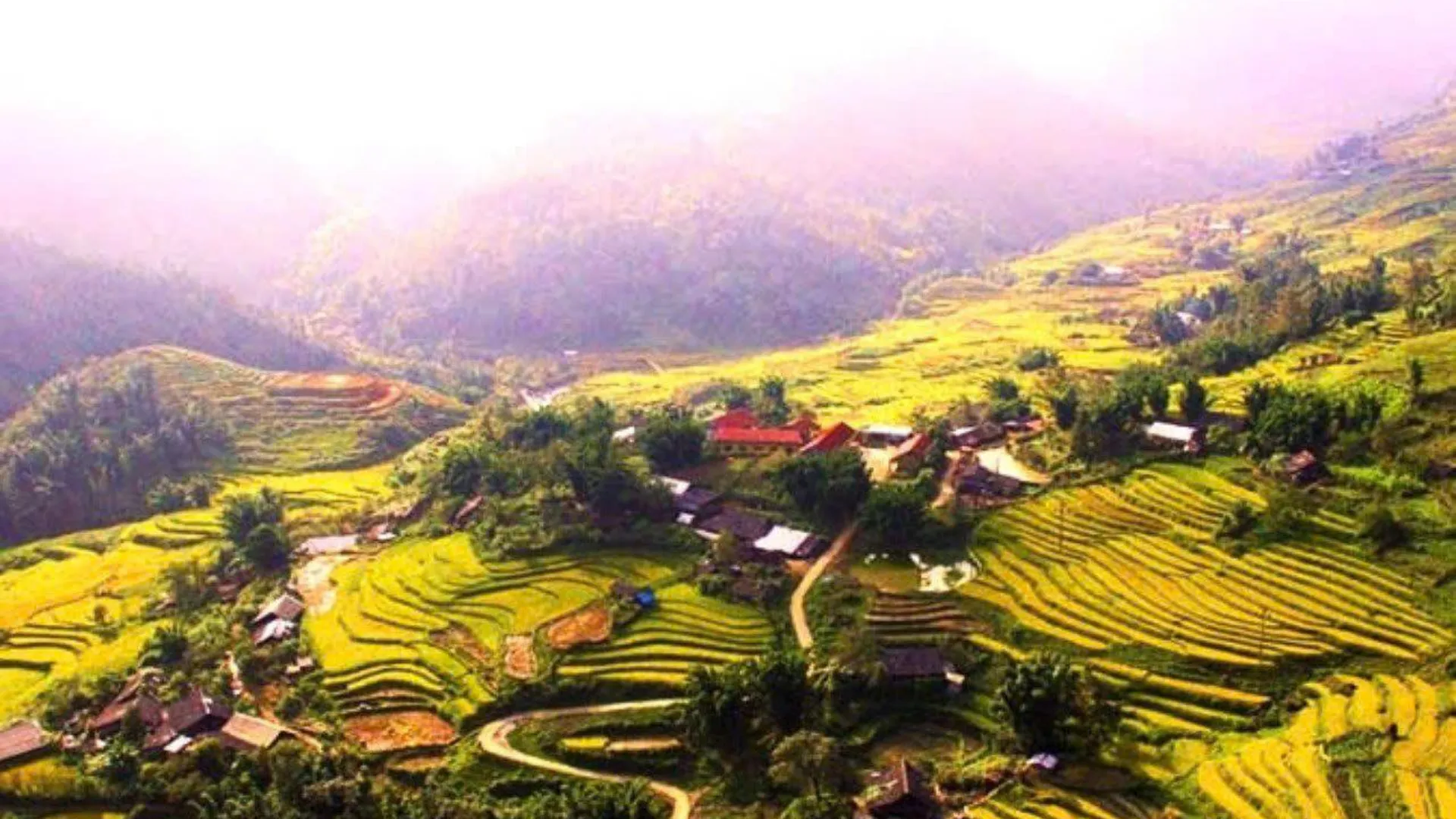 사파 사빠 도심의 프라이빗 하우스 (100m², 침실 3개, 프라이빗 욕실 7개) 4성급 게스트하우스 객실