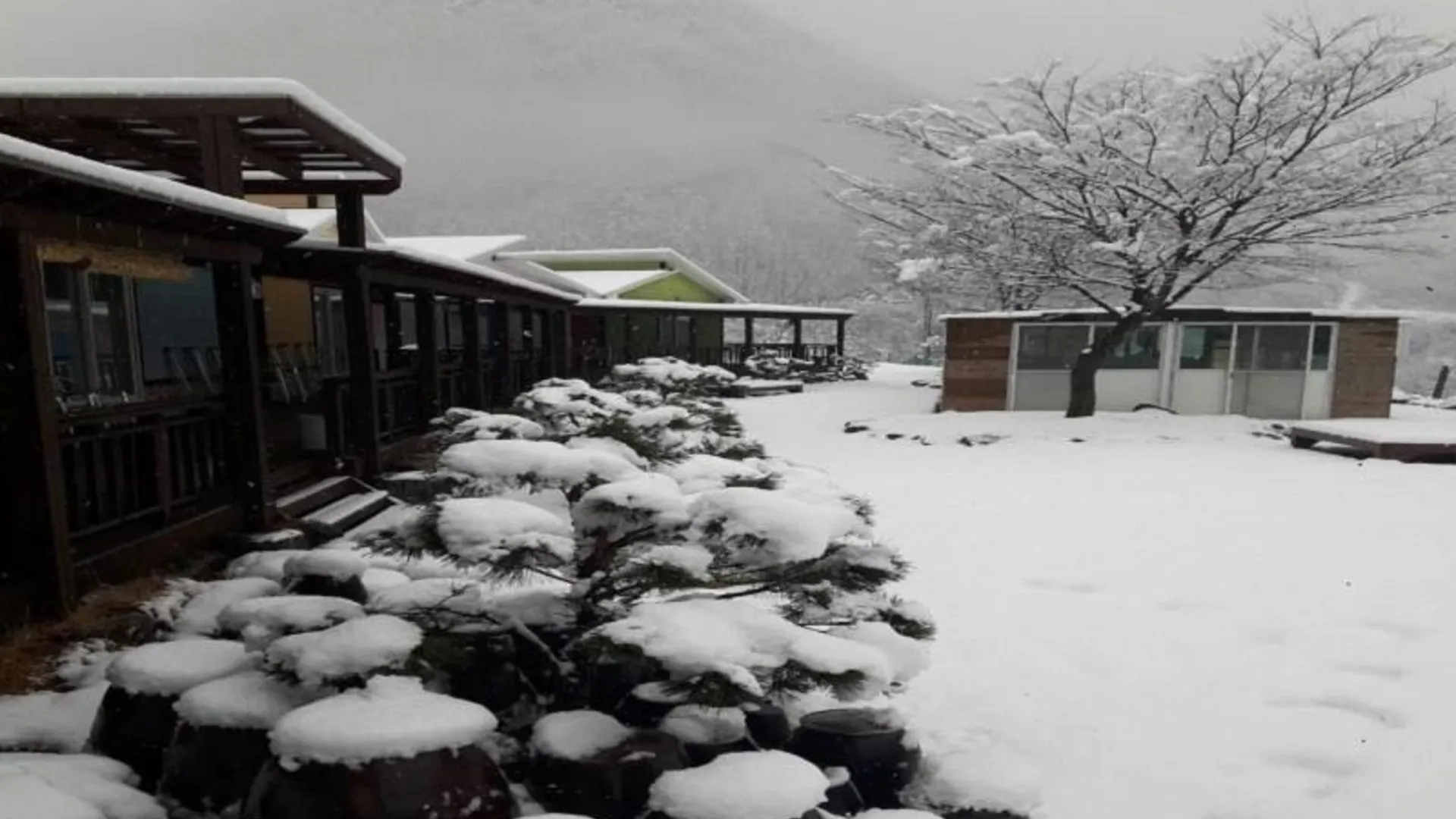 단양 단양 고인돌펜션 2성급 게스트하우스 외관