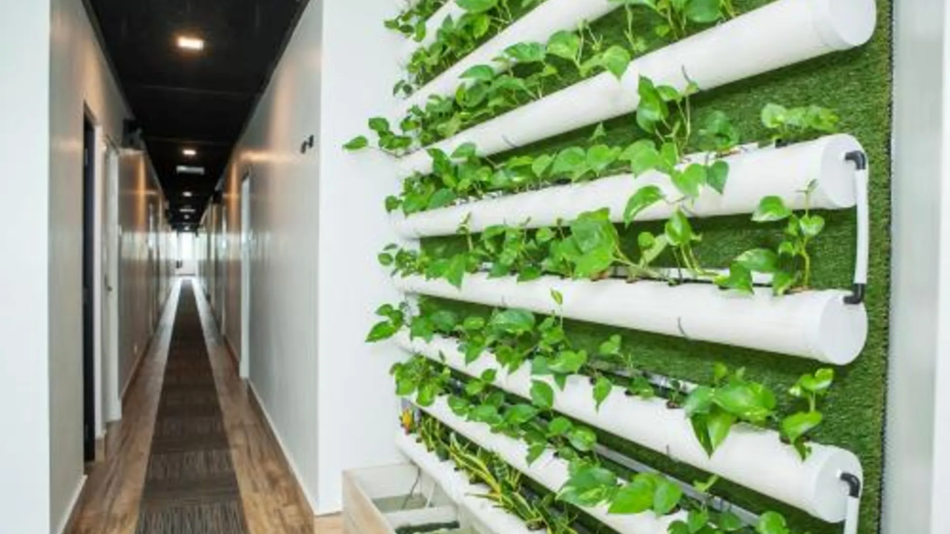 조호바루 / 조호르바루 Bzz 호텔 스쿠다이 3성급 호텔 레스토랑