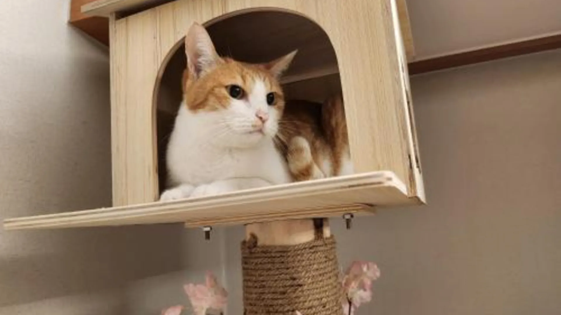 서울 신림 유호텔 1성급 호텔 전망