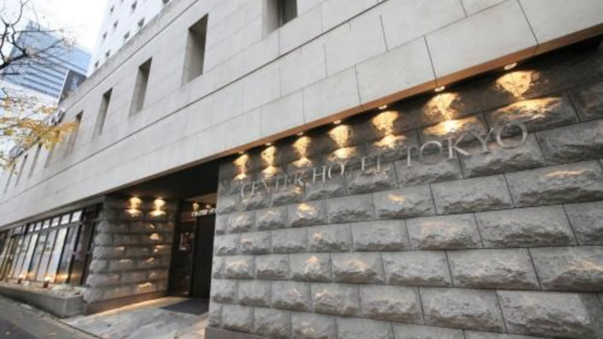 도쿄 / 동경 센터 호텔 도쿄 3성급 호텔 수영장