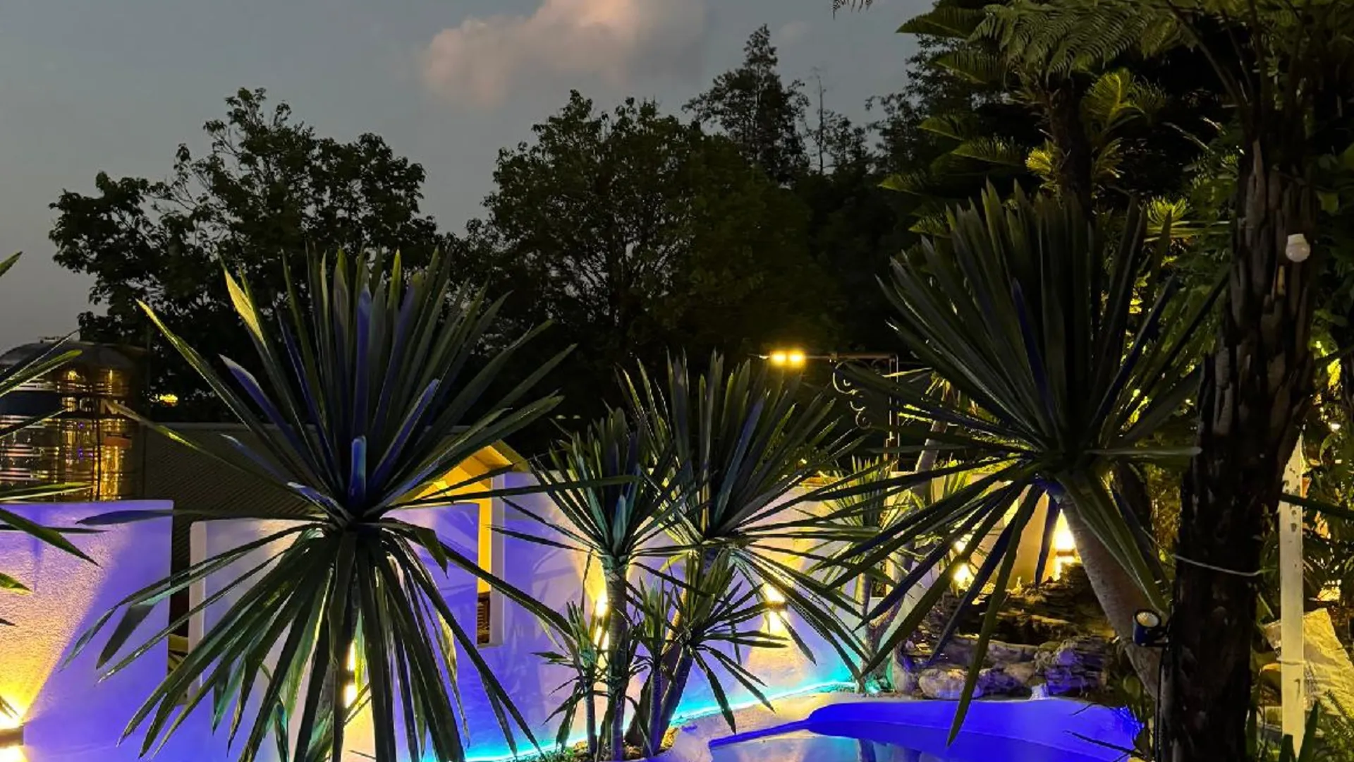 사파 러브 하우스 홈스테이 사파 4성급 게스트하우스 외관