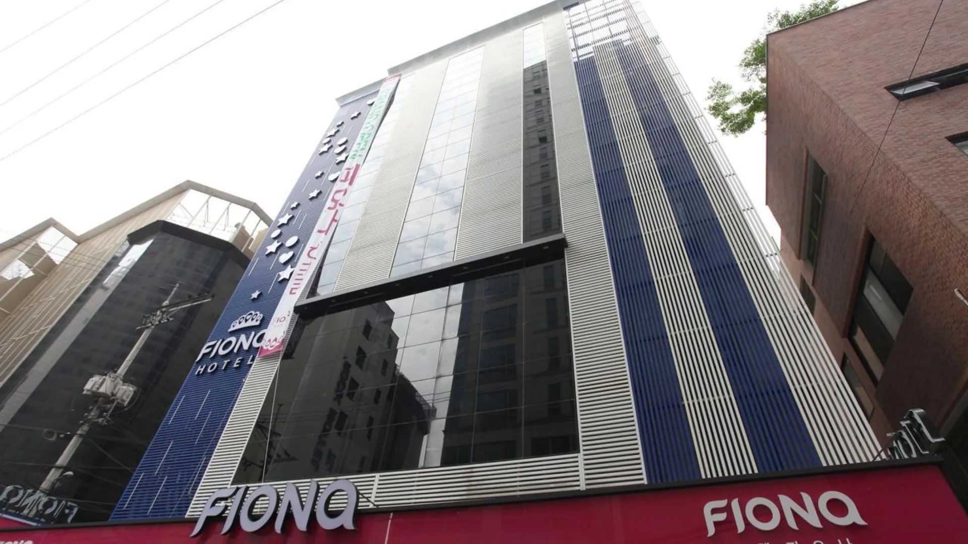 서울 신촌 피오나 호텔 수영장