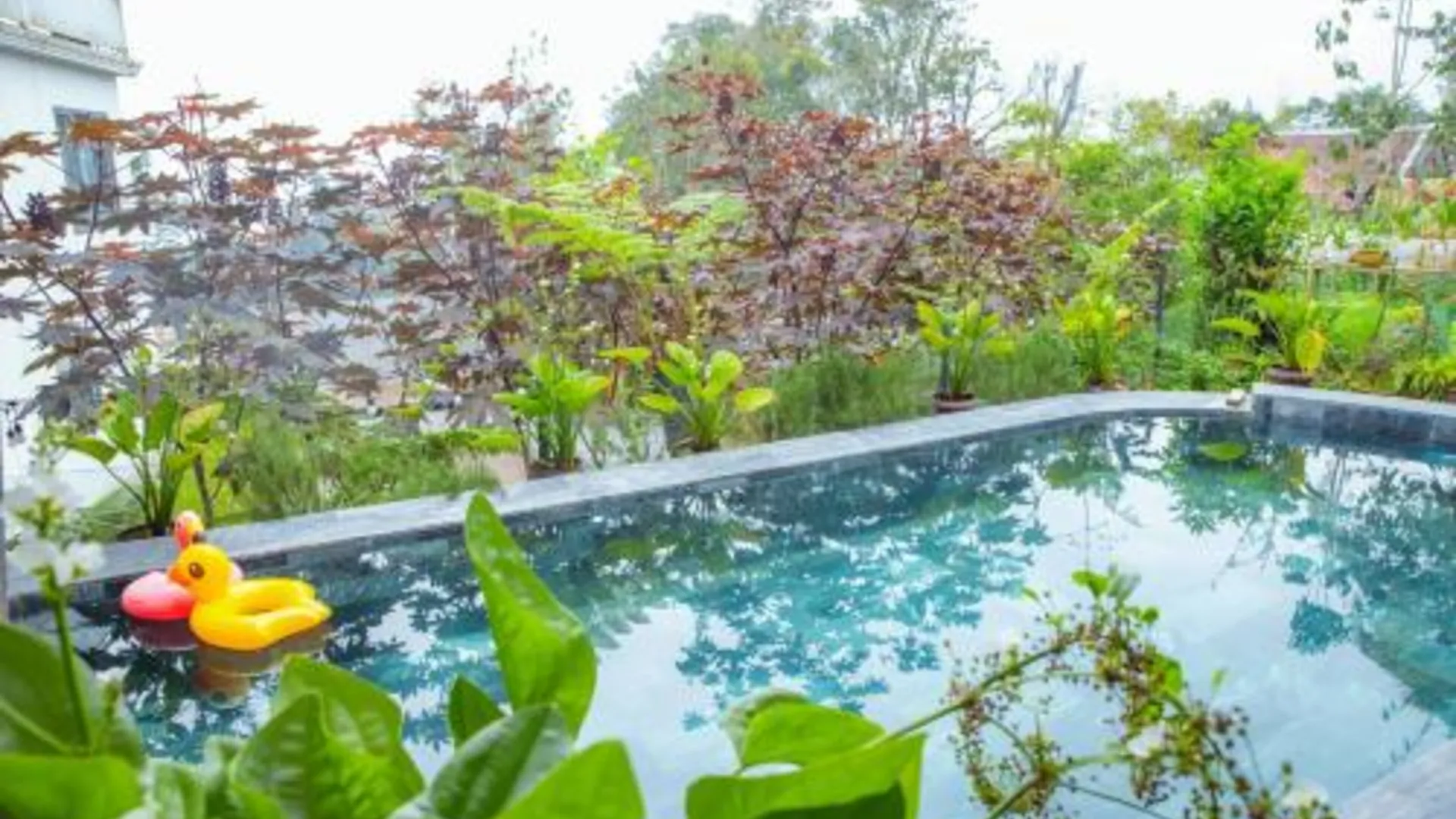 사파 사파 헤븐 하우스 3성급 호텔 로비