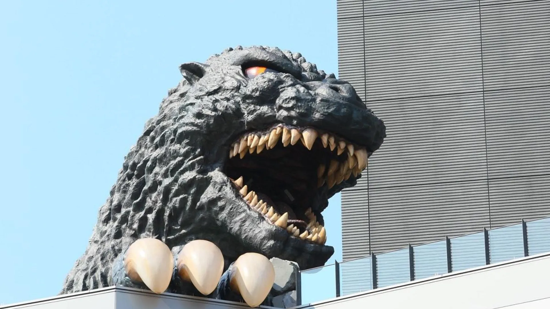 도쿄 / 동경 호텔 그레이스리 신주쿠 4성급 호텔 객실