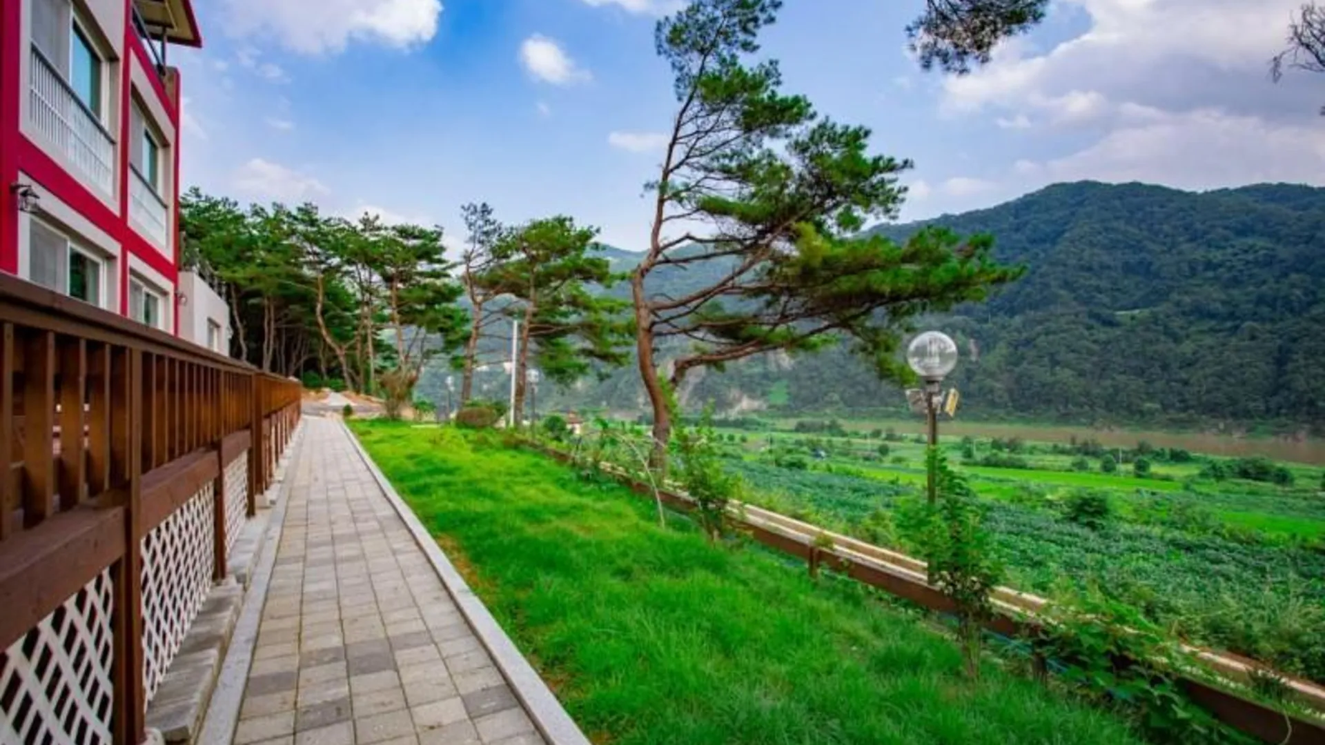 단양 단양 남한강솔밭펜션 3성급 게스트하우스 전망