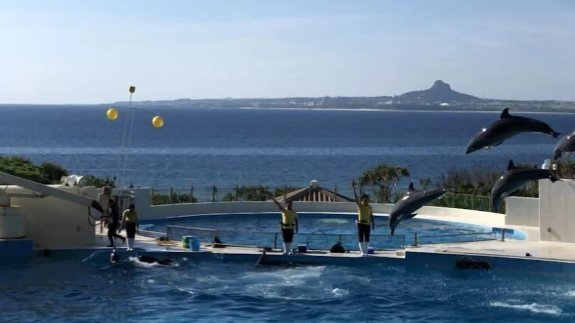 오키나와 본섬 오키나와 프리덤 3성급 호텔 부대시설